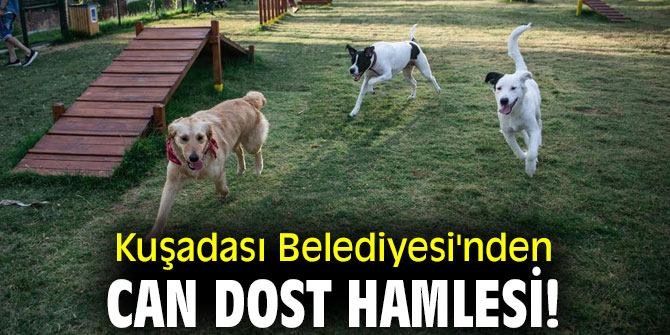 Kuşadası Belediyesi'nden can dost hamlesi!