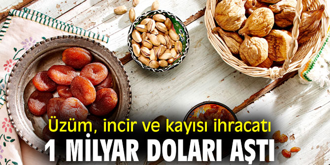 Üzüm, incir ve kayısı ihracatı 1 milyar doları aştı