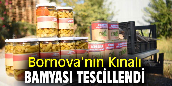 Bornova'nın Kınalı Bamyası tescillendi