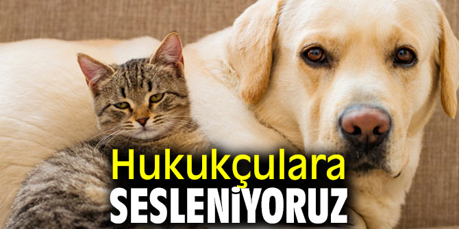Hukukçulara sesleniyoruz