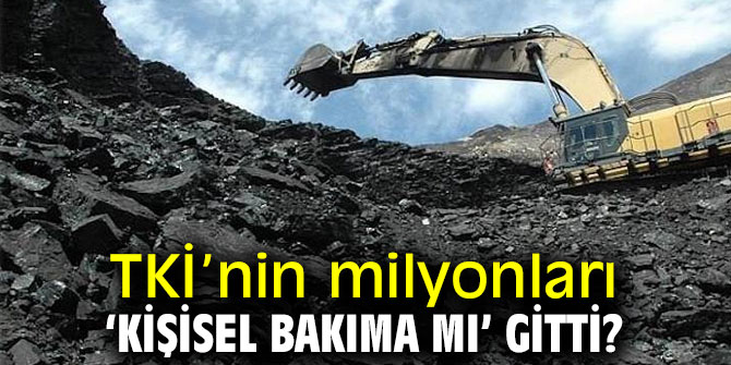 Gürer, “Tüy dökücü krem üretmek TKİ’nin neyine?”