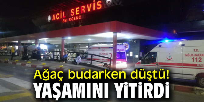 Ağaç budarken düştü! Yaşamını yitirdi