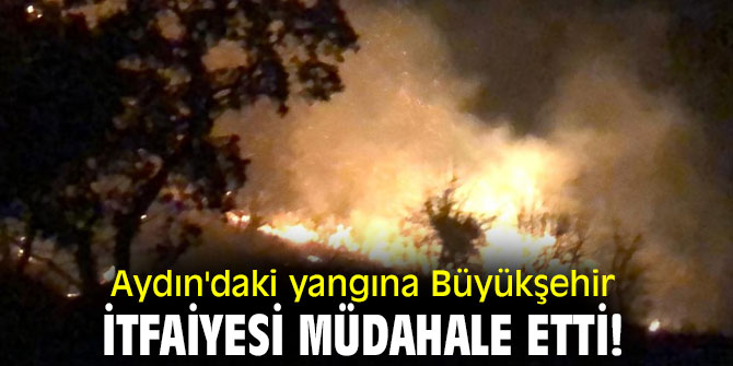 Aydın'daki yangına  Büyükşehir İtfaiyesi Müdahale etti!