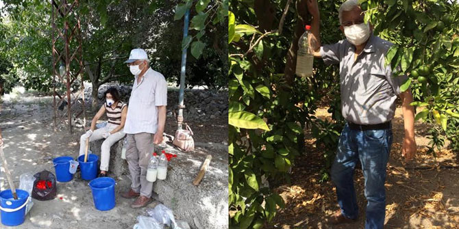 Akdeniz Meyve Sineğine karşı tuzakla mücadele