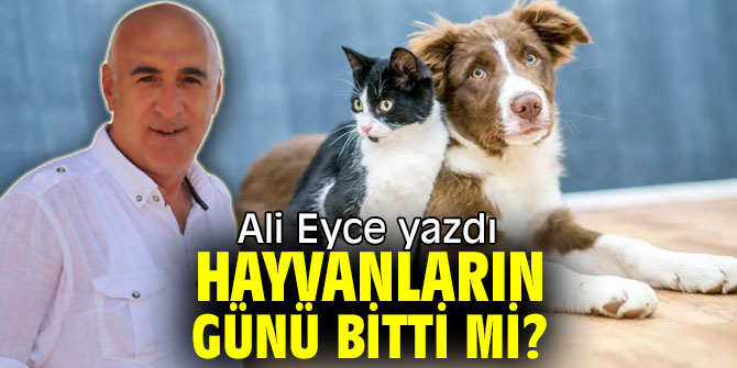 HAYVANLARIN GÜNÜ BİTTİ Mİ?