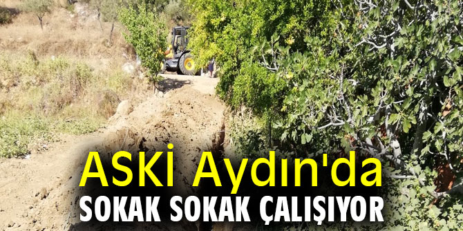 ASKİ Aydın'da sokak sokak çalışıyor