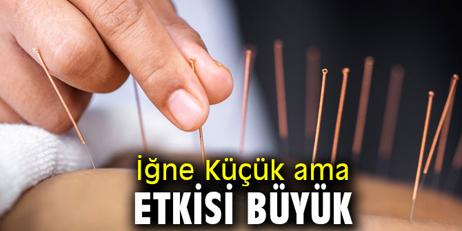 100 ‘ün Üzerinde Sağlık Sorununun Tedavisinde Kullanılıyor