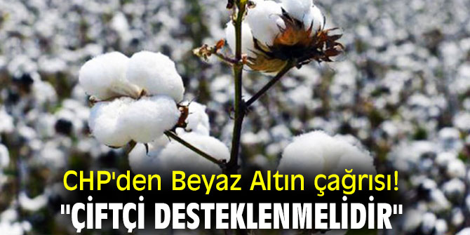 CHP'den Beyaz Altın çağrısı! "Çiftçi desteklenmelidir"