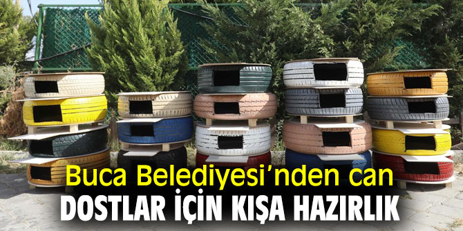 Buca Belediyesi’nden can dostlar için kışa hazırlık  