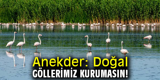 Anekder: Doğal Göllerimiz kurumasın!