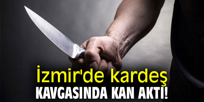 İzmir'de kardeş kavgasında kan aktı!