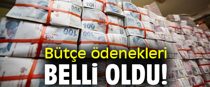 Bütçe ödenekleri belli oldu!