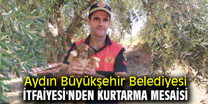 Aydın Büyükşehir Belediyesi İtfaiyesi'nden Kurtarma Operasyonu