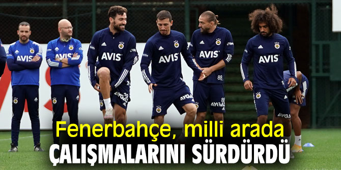 Fenerbahçe, milli arada çalışmalarına devam etti!