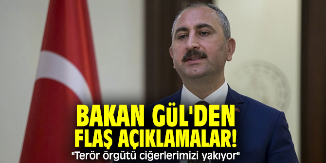 Bakan Gül'den flaş açıklamalar! "Terör örgütü ciğerlerimizi yakıyor"
