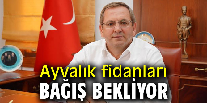 Ayvalık fidanları bağış bekliyor