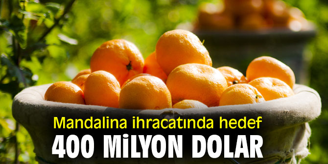 Mandalina ihracatında hedef büyük