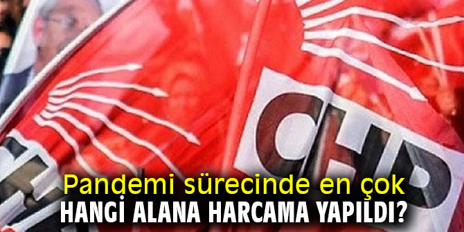 Pandemi sürecinde en çok hangi alana harcama yapıldı?