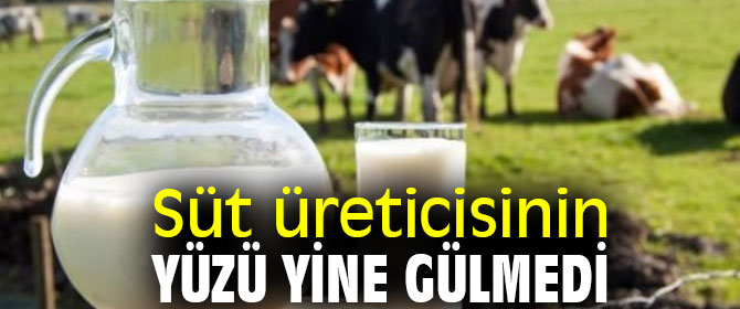 Erdan Kılıç: 'Süt üreticisinin yüzü yine gülmedi'