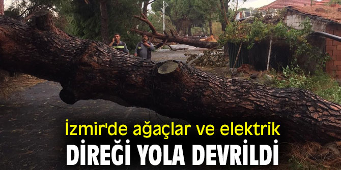 İzmir'de ağaçlar ve elektrik direği yola devrildi
