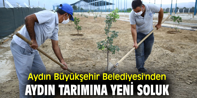 Aydın Büyükşehir Belediyesi'nden Aydın Tarımına Yeni Soluk