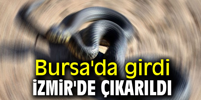 Bursa'da araca girdi, İzmir'de çıkarıldı