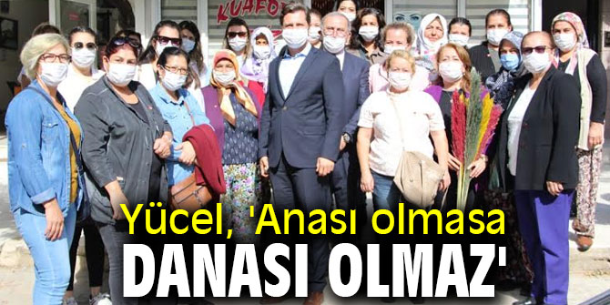 Yücel, 'Anası olmasa danası olmaz'