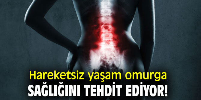 Hareketsiz yaşam omurga sağlığını tehdit ediyor!