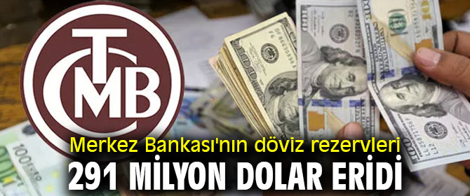 Merkez Bankası'nın döviz rezervleri 291 milyon dolar eridi