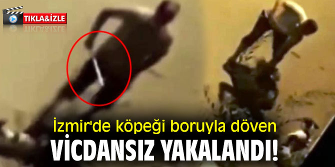 İzmir'de köpeği boruyla döven vicdansız yakalandı!