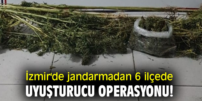 İzmir'de jandarmadan 6 ilçede uyuşturucu operasyonu! 