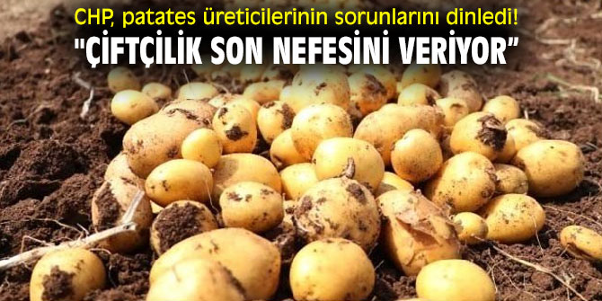 CHP, patates üreticilerinin sorunlarını dinledi! "Çiftçilik son nefesini veriyor”