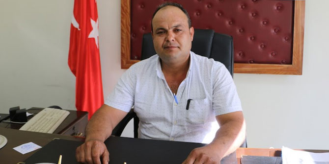 Yamalak Sarısı zeytini destek bekliyor