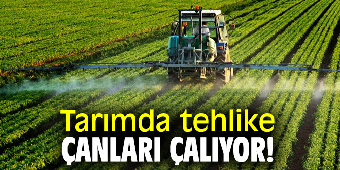Tarımda tehlike çanları çalıyor!