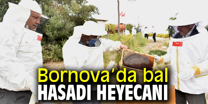 Başkan İduğ: Arıcılara verdiğimiz destek sürecek