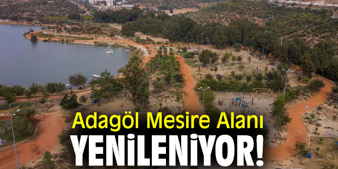 Adagöl Mesire Alanı yenileniyor!