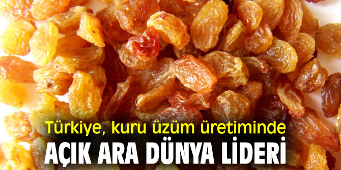 Türkiye, kuru üzüm üretiminde lider!