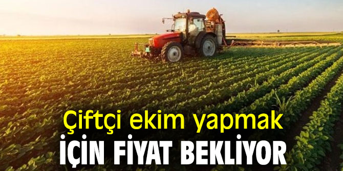 Çiftçi ekim yapmak için fiyat bekliyor!