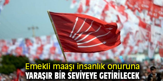 Emekli maaşı insanlık onuruna yaraşır bir seviyeye getirilecek