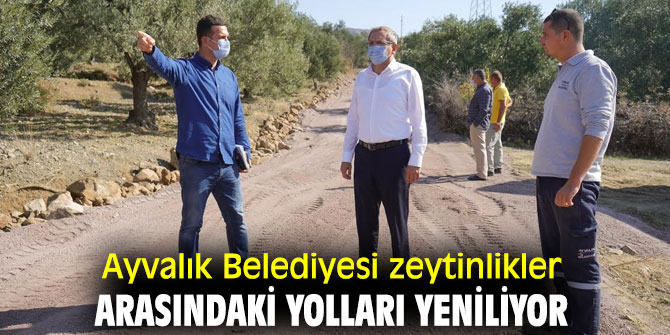 Ayvalık Belediyesi zeytinlikler arasındaki yolları yeniliyor