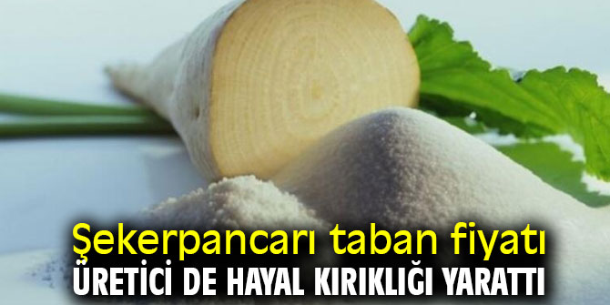 Gürer: “Pancar çiftçisine darbe”