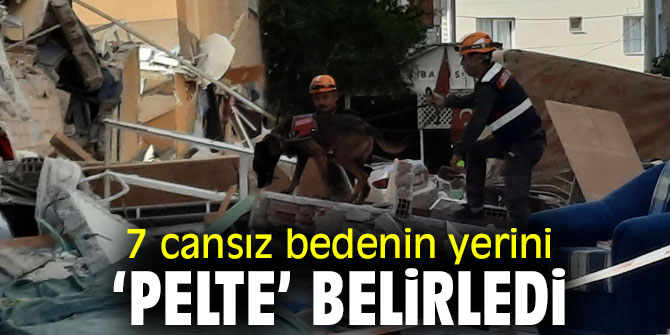 İzmir'de 7 cansız bedenin yerini hassas burunlu ‘Pelte’ belirledi