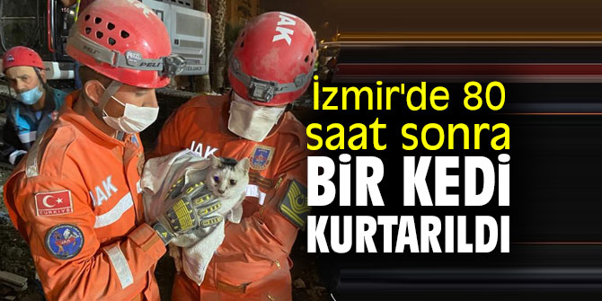 İzmir'de 80 saat sonra bir kedi kurtarıldı