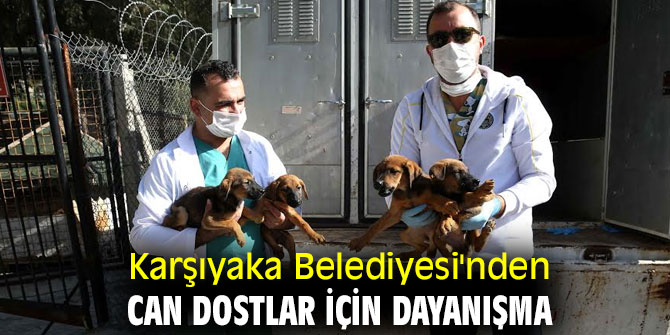 Karşıyaka Belediyesi'nden can dostlar için dayanışma