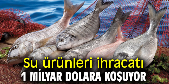 Su ürünleri ihracatı 1 milyar dolara koşuyor
