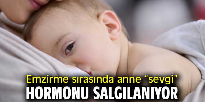 Dikkat! Emzirme sırasında anne “sevgi” hormonu salgılanıyor