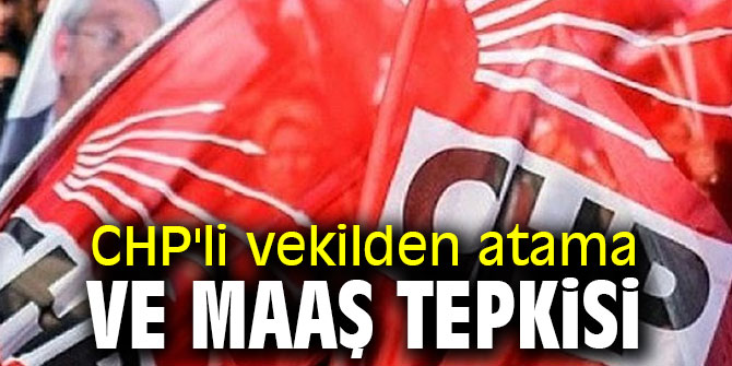 CHP'li vekilden atama ve maaş tepkisi