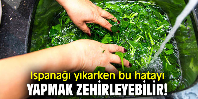 İşte ıspanağı pişirirken yapılması gerekenler