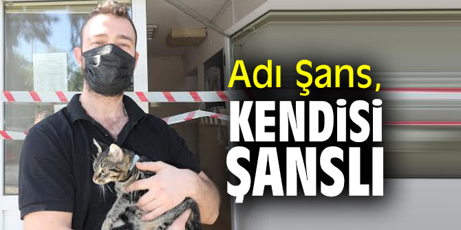 Adı Şans, kendisi şanslı