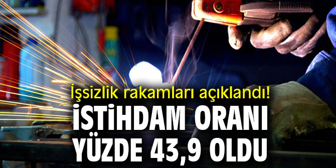 İşsizlik rakamları açıklandı! İstihdam oranı yüzde 43,9 oldu